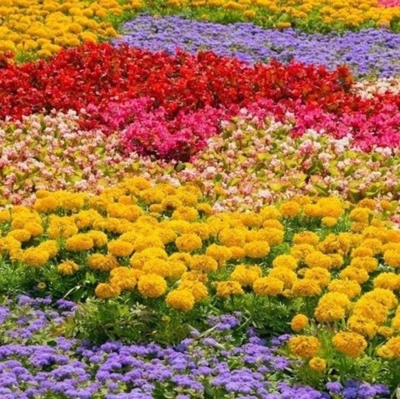 Meet your Posher, Esmee - Picture 1 of 1